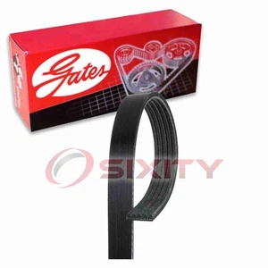 Gates Micro-V Fan Alternator Serpentine Belt for 1987-1988 Chevrolet V10 ea - Picture 1 of 5