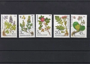 RUSSIA Stamps 1985 Medicinal Plants of Siberia MNH - Picture 1 of 1