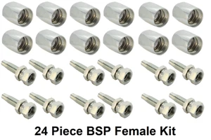 Kit de reparación BSP hembra montaje/inserto de manguera hidráulica reutilizable de 24 piezas 1/2" 2 hilos - Imagen 1 de 1