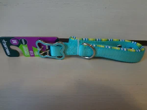 Vibrant Life Medium Teal Stripe Padded Dog Collar 7/8" x 14-20" Item #19708  - Picture 1 of 5