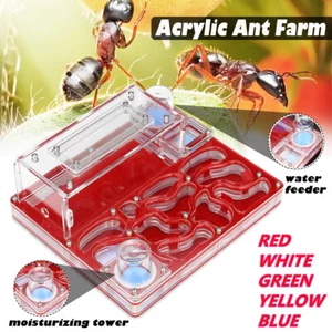 Ant Moisture Nest Habitat Acrylic Farm Insect Villa Feeding House Science Gift - Picture 1 of 10