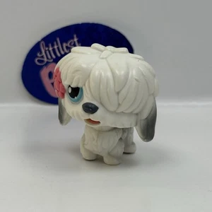 SHEEPDOG DOG #MM2 - Littlest Pet Shop - Hasbro LPS - Foto 1 di 4