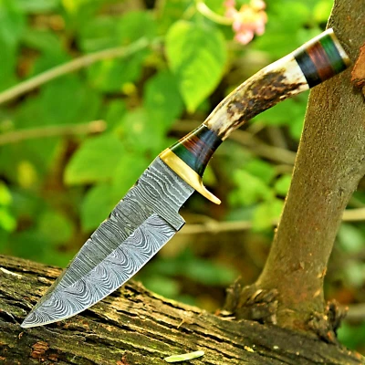 Cuchillo de ciervo Damasco hoja de daga caza cuchillo desollador mango de asta de ciervo latón Foto 1 de 4