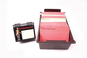 Tarjetas de aprendizaje tarjetas de aprendizaje de anatomía sistema muscular en 2 cajas muchas tarjetas - Imagen 1 de 5