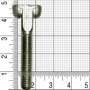 316SS-BF Round T Head Bolt Stainless Steel, 3/4'' x 4'' T-Bolt - Picture 1 of 9