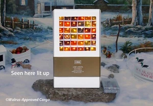 CRATE & BARREL (CB2) MINI PEBBLE LINE LIGHTS -NIB- ILLUMINATING HOLIDAY DÉCOR! - Picture 1 of 7