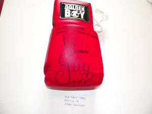 ANA MARIA TORRES BOXING HOFer AUTOGRAPHED GLODEN BOY TITLE BOXING GLOVE 6-6-24 - Picture 1 of 4