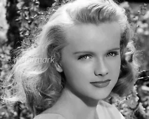 Anne Francis - celebrities - American Broadway actress - 8x10 PUBLICITY PHOTO - Picture 1 of 1