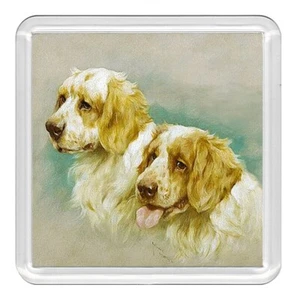 Clumber Spaniel Hund Acryl Untersetzer Neuheit Trinkbecher Matte tolles Geschenk - Bild 1 von 1