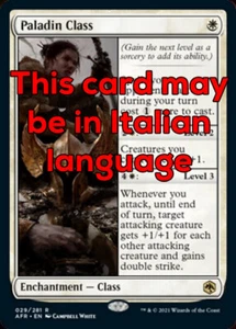 MTG PALADIN CLASS EXC - CLASSE DEL PALADINO - AFR - MAGIC - Picture 1 of 1