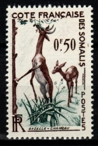 1958 Cote des Somalis -  Y & T N° 289  Neuf ** SANS CHARNIERE - Photo 1/1