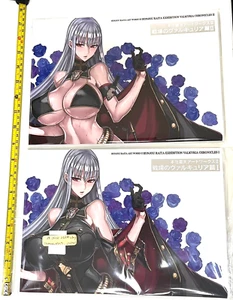 Raita Honjou Art Works 2 & 3 Valkyria Chronicles designer book set zettai - Picture 1 of 14