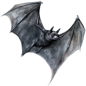 XXL 18X18 Autoaufklebe Fledermaus Halloween Aufkleber Wetterfester Vinyl Sticker - Bild 1 von 1