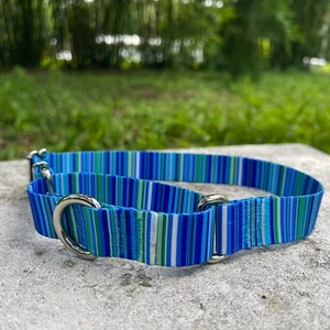 Collar de perro Martingala ajustable de 1 pulgada de ancho - Sin cordones azul/verde hecho en EE. UU. - Imagen 1 de 5