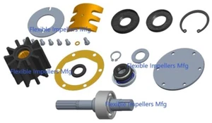 Rebuild Kit For Perkins Sea Water Pump 2488275 Jabsco 9700-01 with Shaft 9707 - Foto 1 di 1