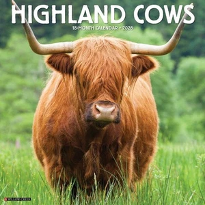 Willow Creek Press, Highland Cows 2026 Wall Calendar, 12'' X 12'', 18-Month Cal - Picture 1 of 4
