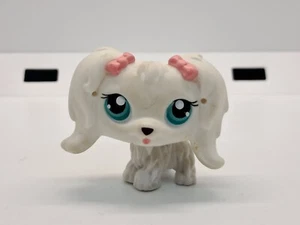 MALTESE DOG #65 - Autentico negozio di animali più piccoli - Hasbro LPS - Foto 1 di 6