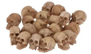 5 x Totenkopf klein Dekoration Garten Basteln Skull Schädel - Bild 1 von 4