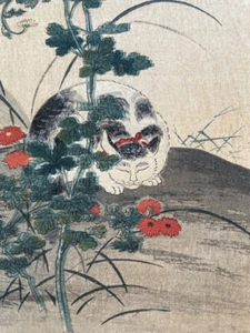 Itcho Hanabusa, White Cat, Japan Woodblock Woodcut Print Chrysanthemum Shōwa-era - Picture 1 of 8