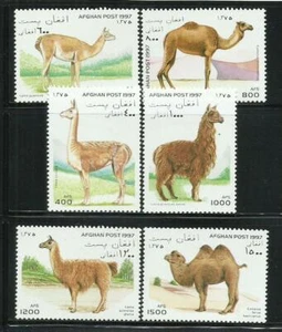 AFGANISTAN. Año: 1997. Tema: FAUNA. CAMELIDOS. - Imagen 1 de 1