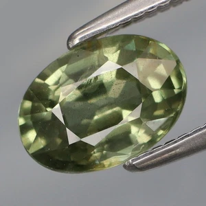 1.30Ct.Precious Gem Natural Green UNHEATED Sapphire Tanzania Good Luster! - Picture 1 of 4