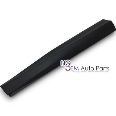 21-23 Ford Mustang Mach-E Select Driver puerta delantera moldura inferior nuevo OEM 5820879 Foto 1 de 4