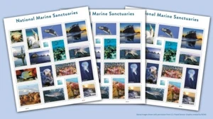 MNH US 5713q National Marine Sanctuaries Imperf NDC Sheet (16 stamps) - Picture 1 of 1