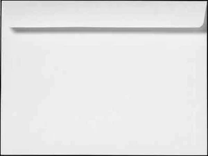 Cashier Depot 10" x 13" Booklet Envelopes, Premium 28lb White, Gum Flap, 100/Box - Picture 1 of 1