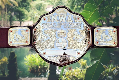 NWA Big Gold Championship belt with dual gold-plated 4mm zinc metal p Adult-siz Cover
