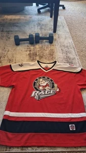 Vintage Walt Disney Grumpy Rage #37 Hockey Trikot Gr. XL siehe Bilder - Bild 1 von 14