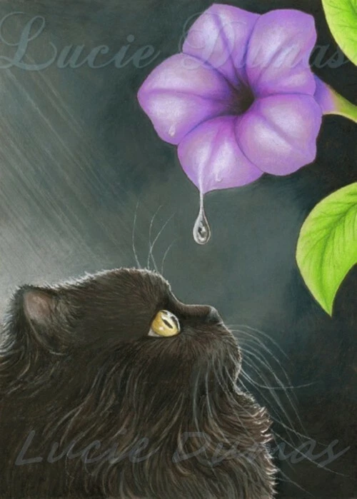 ACEO miniature print Black Cat 514 Persian Purple Flower art painting L.Dumas Foto 1 de 1