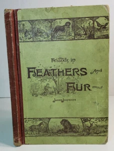 Friends in Feathers and Fur by James Johonnot 1884 Board Book First Edition - Picture 1 of 11