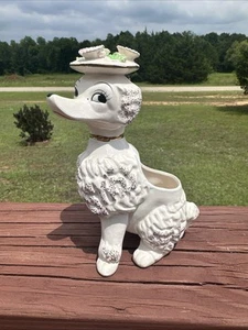 Caniche vintage años 50 con sombrero de flores y estatuilla adorno dorado maceta suculenta con flores - Imagen 1 de 10