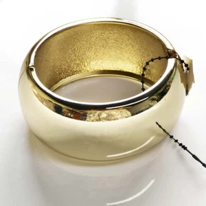 New Chicos Wide Oval Bangle Cuff Gift Fashion Women Party Holiday Show Jewelry - Picture 1 of 4