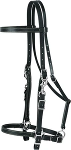 Weaver Leather Brahma Webb Halter Bridle, Black with Stainless Steel Hardware - Picture 1 of 1