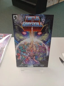 TARTARUGHE DI TESCHIO GRIGIO #2 Cvr B Dark Horse Comics 2024 JUL241091 2B MOTU TMNT - Foto 1 di 2