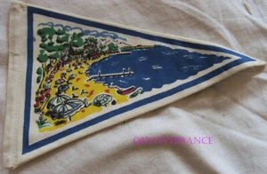 FAN065 - Gagliardetto Turistico Juan Les Pins - Picture 1 of 2