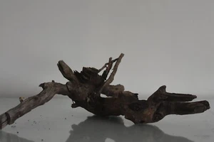 Real Aquarium Sumatra Driftwood Medium 32 x 27 x 13 cms F Bogwood Fish Decor - Picture 1 of 3