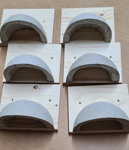 6 Rauchschwalben Nester Schwalben Nest Vogelhaus Nisthilfe Schwalbe - Bild 1 von 11