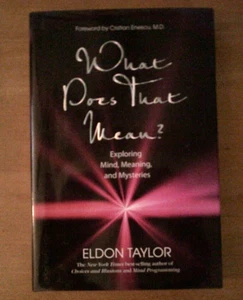 What Does That Mean?: Exploring Mind, Meaning, and Mysteries by Taylor, Eldon - Picture 1 of 2