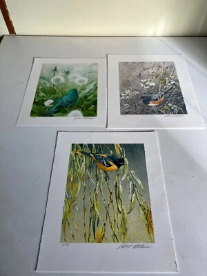 Songbird Trio-3 Litografías Originales-Robert Bateman Foto 1 de 4