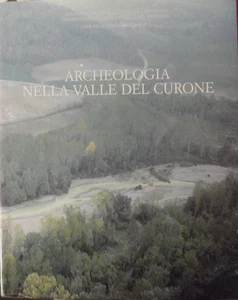 ARCHEOLOGIA NELLA VALLE DEL CURONE-COP.RIGIDA-G.PANTO'-ED.DELL'ORSO 1993 - Imagen 1 de 9