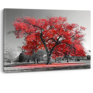 Großer Baum rote Blätter New York Natur Leinwand Wandbild Bild Druck schwarz weiß - Bild 1 von 5