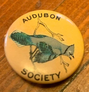 Vtg Audubon Society Bluejay Pin Pinback Button Badge,Bastian Celluloid Novelties - Picture 1 of 2