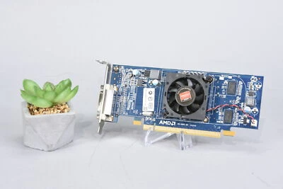 Dell AMD Radeon - HD 6350 - 512MB GDDR3 - Graphics Card - Low Profile - Image 1 of 2