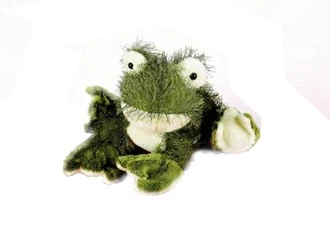 Webkinz Frog