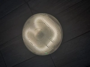 thorn leopard Fluorescent Light - Picture 1 of 10
