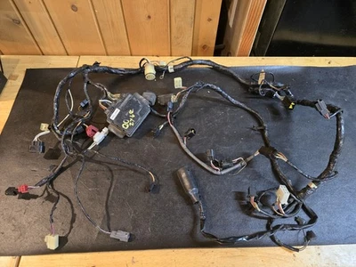Arnés de cableado ZX-6R NINJA 2000 OEM con computadora ECU 26030-1717 buen estado  Foto 1 de 4