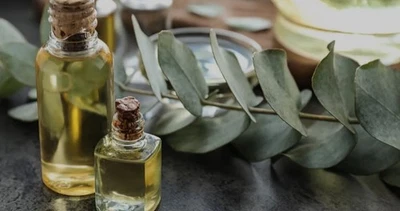 Eucalyptus Glow-Allergy Relief Diffuser Blend in 5ml Dropper Bottle - Image 1 of 3