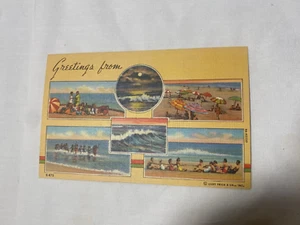 SUMMERTIME GREETINGS POSTCARD - Picture 1 of 5